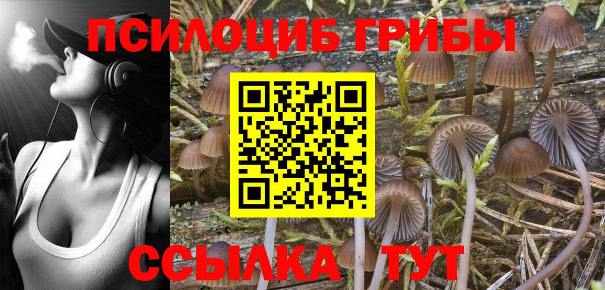 Галлюциногенные грибы мицелий Артём
