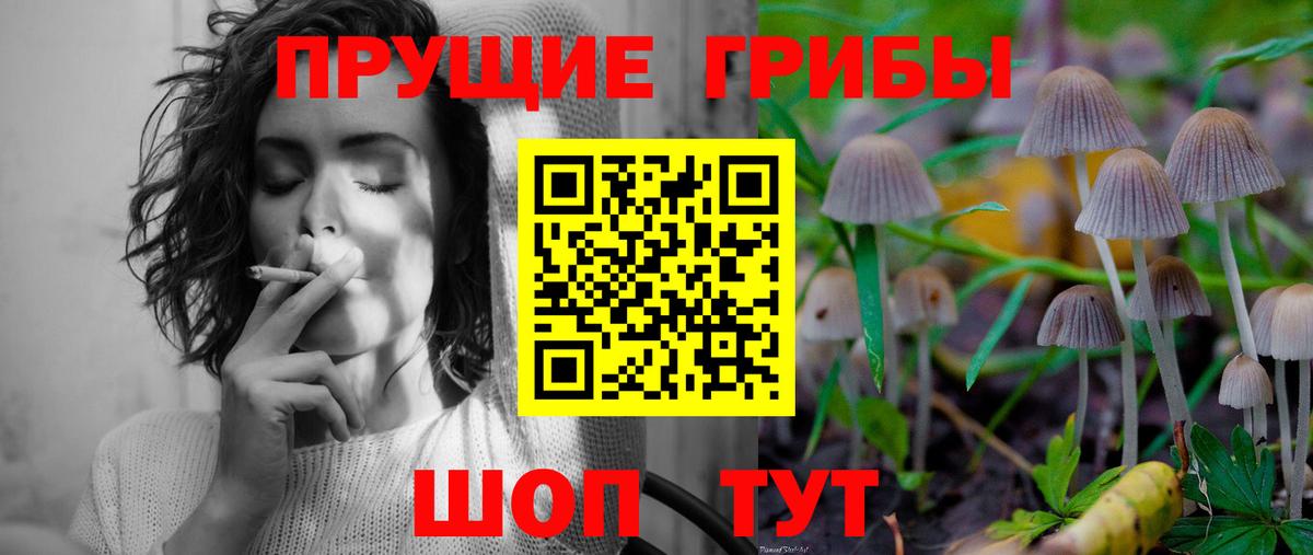 Артём  Галлюциногенные грибы MAGIC MUSHROOMS  Вход с VPN  Псилоцибиновые грибы мухоморы 